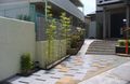 アプローチ左側の植栽たち。
