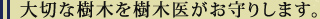 私たちが手がけるエクステリア